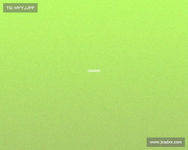 网球业余比赛规则